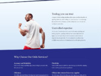 Sporting Solutions Odds Services