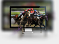 Betsys Virtual sports — for betting on electronic sports and races