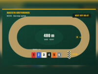 Greyhound Racing Game — video greyhound racing with 6 traps and 90-second races
