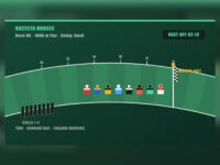 Horse Racing Game — virtual races with configurable runners and betting markets