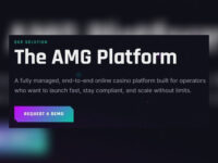 AMG Platform — manage players, finances, bonuses, and payments