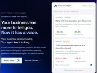Autonomous AI Agent for iGaming — background investigations