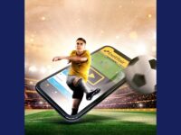 B2B Sportsbook Solutions by Flutter