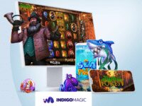 Indigo Magic
