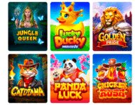 BGaming Animal Games