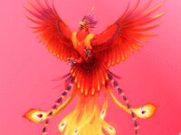 Aristocrat Interactive Content & Aggregation