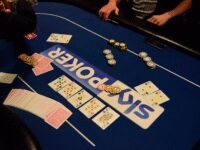 Matsui Synthetic & Wool Casino Table Layouts