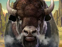 BF Games Animals Slot Games