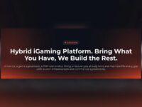 Hybrid Online Casino Platform — combine operator-held licences, contracts