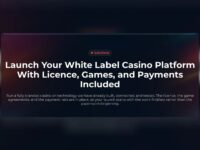 White Label Casino Solution & Software — branded casino platform with licence