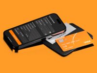 Hosted Payment Fields